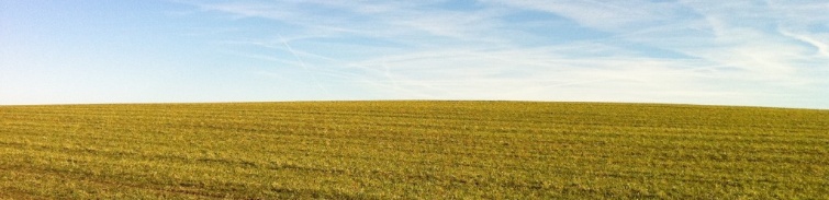 land